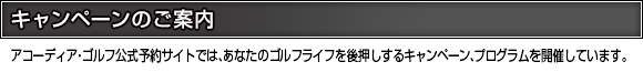 キャンペーンのご案内