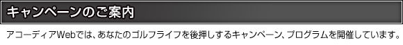 キャンペーンのご案内